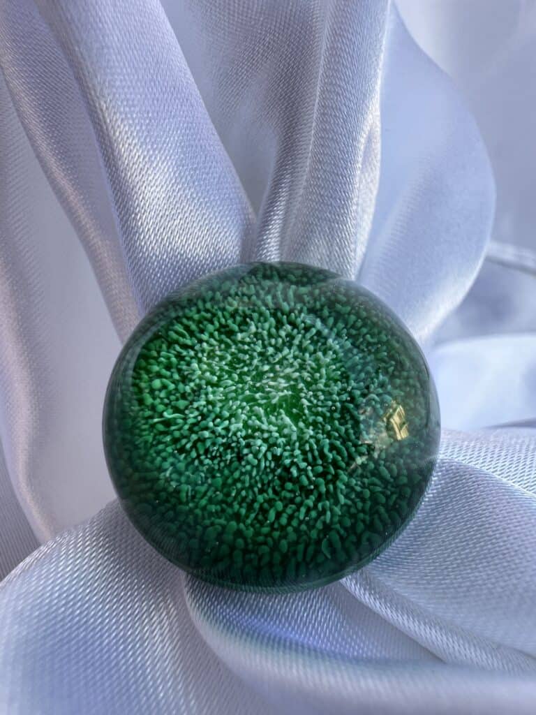 ANELLO AMAZZONIA - immagine 4