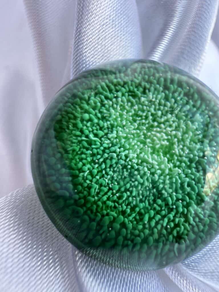 ANELLO AMAZZONIA - immagine 2